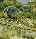 International Garden