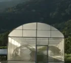 Nursery House