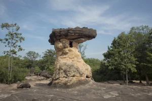 อุดรธานีเปิดบ้านชวนเที่ยว งานมหกรรมพืชสวนโลกจังหวัดอุดรธานี พ.ศ. 2569 พร้อมสัมผัสความงดงามดินแดนอุทยานประวัติศาสตร์ 2 มรดกโลก