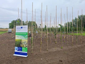 คณะผู้แทนไทยเข้าร่วมประชุม AIPH International Horticultural Industry Conference เพื่อศึกษาแนวทางการพัฒนาพืชสวนไม้ดอกอย่างยั่งยืน