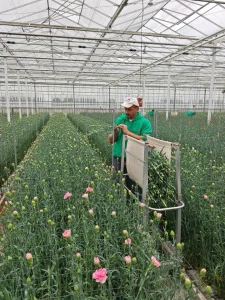 คณะผู้แทนไทยเข้าร่วมประชุม AIPH International Horticultural Industry Conference เพื่อศึกษาแนวทางการพัฒนาพืชสวนไม้ดอกอย่างยั่งยืน
