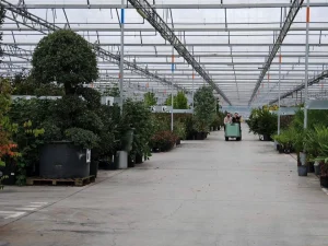 คณะผู้แทนไทยเข้าร่วมประชุม AIPH International Horticultural Industry Conference เพื่อศึกษาแนวทางการพัฒนาพืชสวนไม้ดอกอย่างยั่งยืน