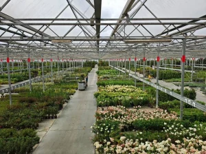 คณะผู้แทนไทยเข้าร่วมประชุม AIPH International Horticultural Industry Conference เพื่อศึกษาแนวทางการพัฒนาพืชสวนไม้ดอกอย่างยั่งยืน
