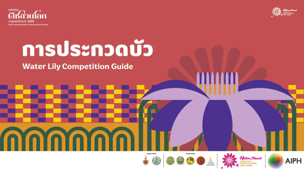 การประกวดบัว (Lotus)